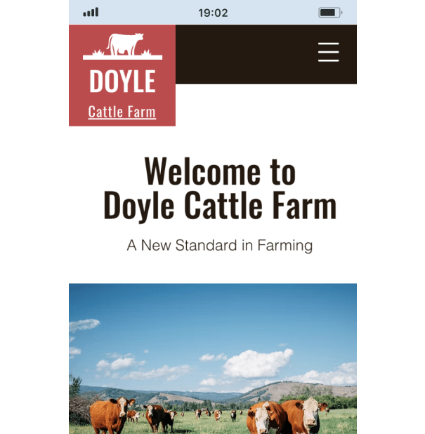 Example 2 of most popular website design in desktop and mobile.